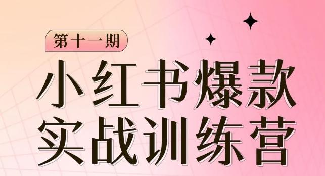 小红书博主爆款训练营第11期，手把手教你从0-1做小红书，从定位到起号到变现-网创星球