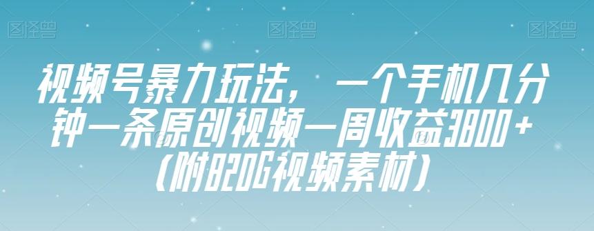 视频号暴力玩法，一个手机几分钟一条原创视频一周收益3800+（附820G视频素材）-网创星球