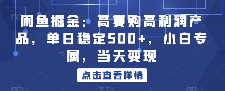 闲鱼掘金：高复购高利润产品，单日稳定500+，小白专属，当天变现-网创星球