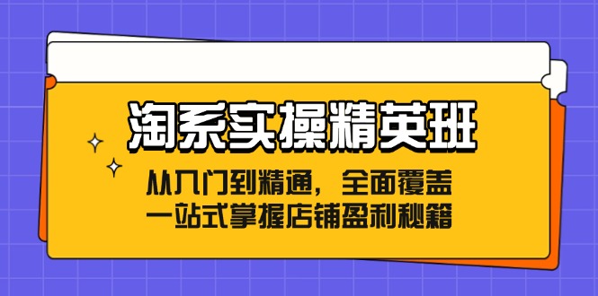 淘系实操精英班：从入门到精通，全面覆盖，一站式掌握店铺盈利秘籍-网创星球