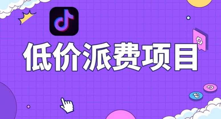 抖音低价派单项目，0门槛，日入1000+很轻松，小白可操作【揭秘】-网创星球