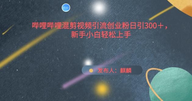 哔哩哔哩混剪视频引流创业粉日引300+，新手小白轻松上手【揭秘】-网创星球