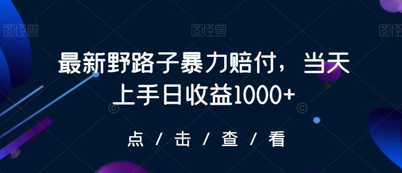 最新野路子暴力赔付，当天上手日收益1000+【仅揭秘】-网创星球