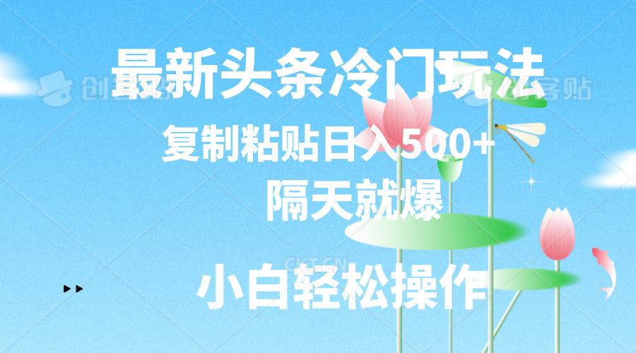 最新头条冷门玩法，隔天就爆，复制粘贴日入500+-网创星球