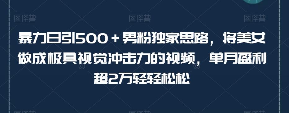 暴力日引500＋男粉独家思路，将美女做成极具视觉冲击力的视频，单月盈利超2万轻轻松松-网创星球