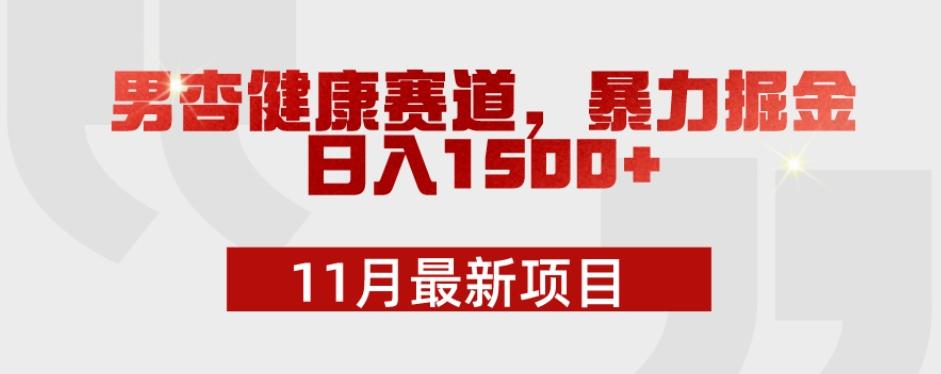 11月最新项目，男杏健康赛道，暴力掘金，日入1500+-网创星球