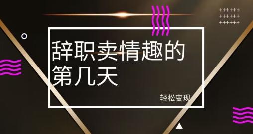 冷门赛道，辞职卖情趣的第几天，超暴力项目-网创星球