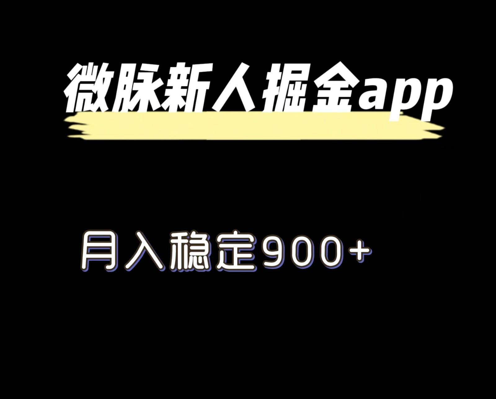 最新微脉长久项目，拉新掘金，月入稳定900+-网创星球
