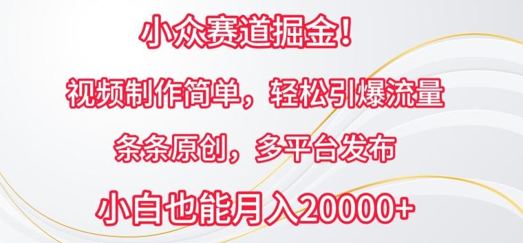 小众赛道掘金，视频制作简单，轻松引爆流量，条条原创，多平台发布【揭秘】-网创星球