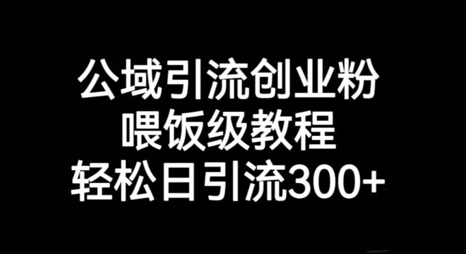公域引流创业粉，喂饭级教程，轻松日引流300+【揭秘】-网创星球