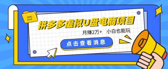 拼多多虚拟U盘电商红利项目：月赚2万+，新手小白也能玩-网创星球