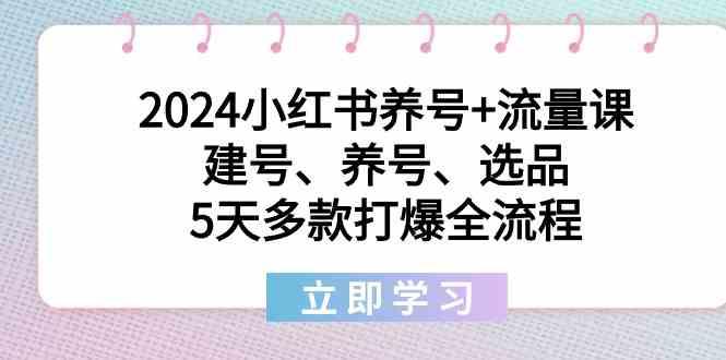 2024小红书养号+流量课：建号、养号、选品，5天多款打爆全流程-网创星球