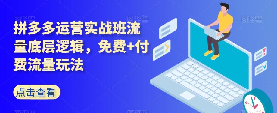 拼多多运营实战班流量底层逻辑，免费+付费流量玩法-网创星球