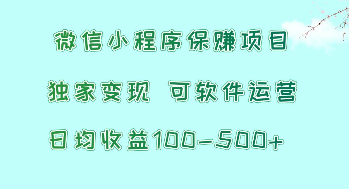 微信小程序保赚项目，日均收益100~500+，独家变现，可软件运营-网创星球