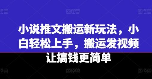 小说推文搬运新玩法，小白轻松上手，搬运发视频让搞钱更简单-网创星球