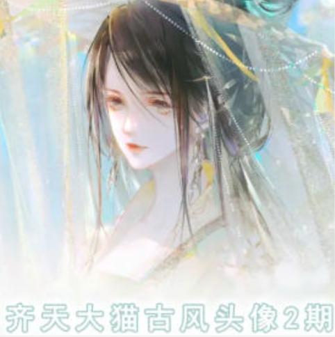 齐天大猫古风头像课第2期，帮助您提高您的绘画技能-网创星球