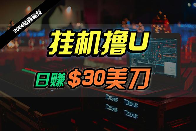 (10013期)日赚30美刀，2024最新海外挂机撸U内部项目，全程无人值守，可批量放大-网创星球