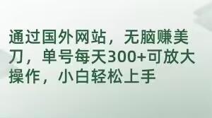 通过国外网站，无脑赚美刀，单号每天300+可放大操作，小白轻松上手【揭秘】-网创星球