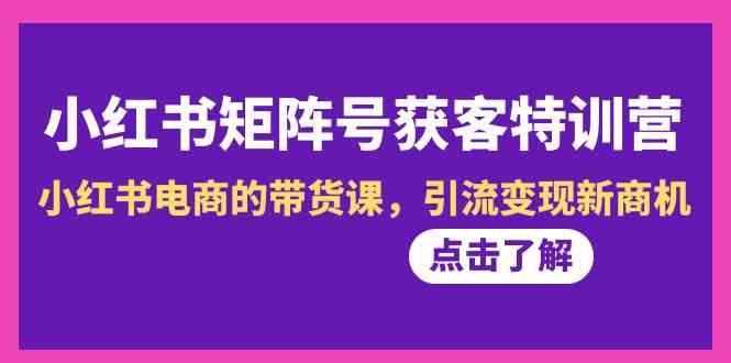 小红书矩阵号获客特训营-第10期，小红书电商的带货课，引流变现新商机-网创星球