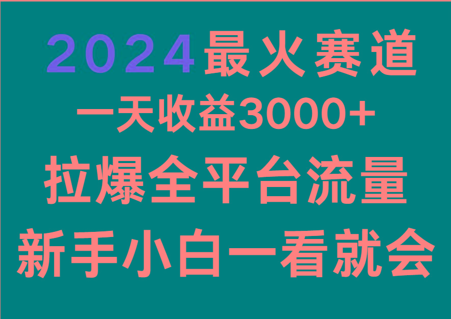 2024最火赛道，一天收一3000+.拉爆全平台流量，新手小白一看就会-网创星球