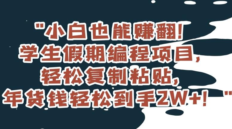小白也能赚翻！学生假期编程项目，轻松复制粘贴，年货钱轻松到手2W+【揭秘】-网创星球