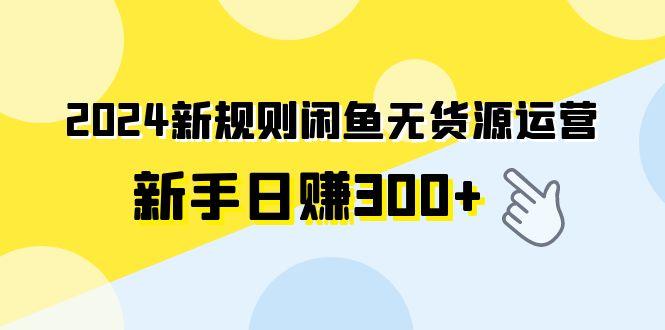 (9522期)2024新规则闲鱼无货源运营新手日赚300+-网创星球