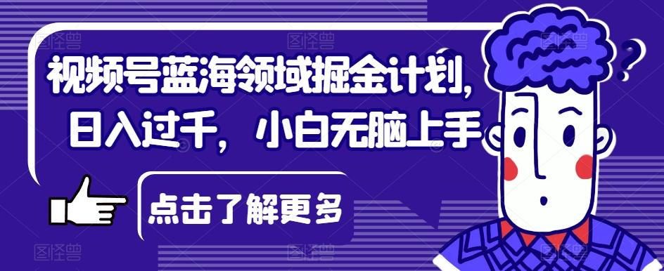 视频号蓝海领域掘金计划，日入过千，小白无脑上手【揭秘】-网创星球