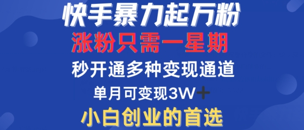 快手暴力起万粉，涨粉只需一星期，多种变现模式，直接秒开万合，单月变现过W【揭秘】-网创星球