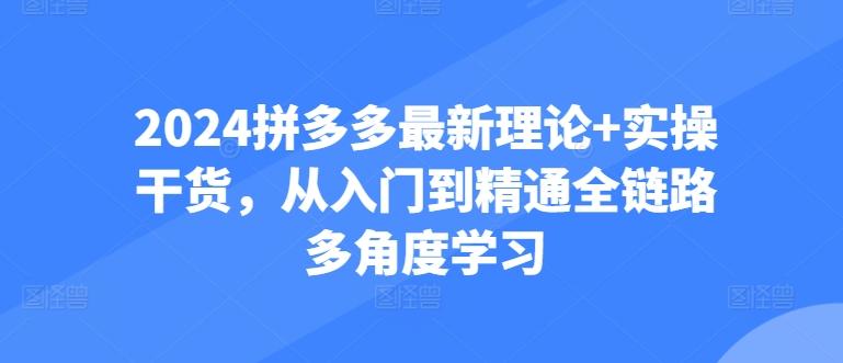2024拼多多最新理论+实操干货，从入门到精通全链路多角度学习-网创星球