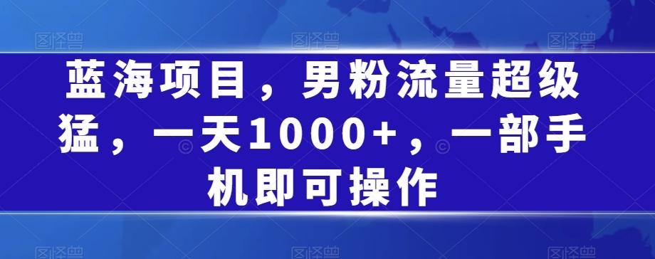 蓝海项目，男粉流量超级猛，一天1000+，一部手机即可操作【揭秘】-网创星球