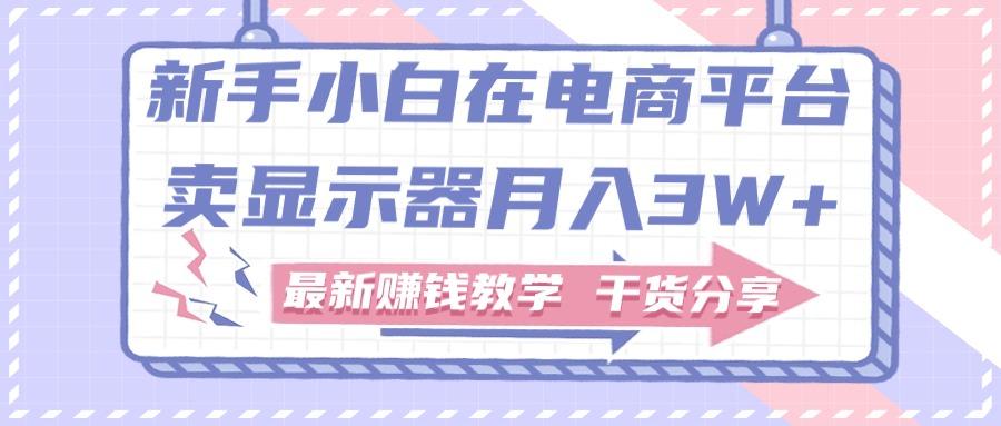 新手小白如何做到在电商平台卖显示器月入3W+，最新赚钱教学干货分享-网创星球