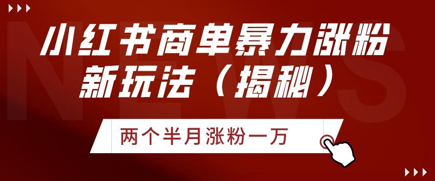 小红书商单暴力涨粉新玩法两个半月涨粉一万（揭秘）-网创星球
