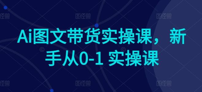 Ai图文带货实操课，新手从0-1 实操课-网创星球
