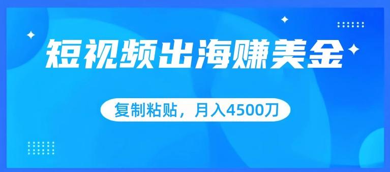 短视频出海赚美金，复制粘贴批量操作，小白轻松掌握，月入4500美刀【揭秘】-网创星球