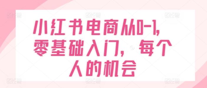 小红书电商从0-1，零基础入门，每个人的机会-网创星球