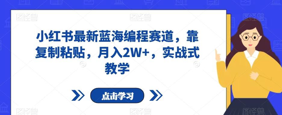 小红书最新蓝海编程赛道，靠复制粘贴，月入2W+，实战式教学【揭秘】-网创星球