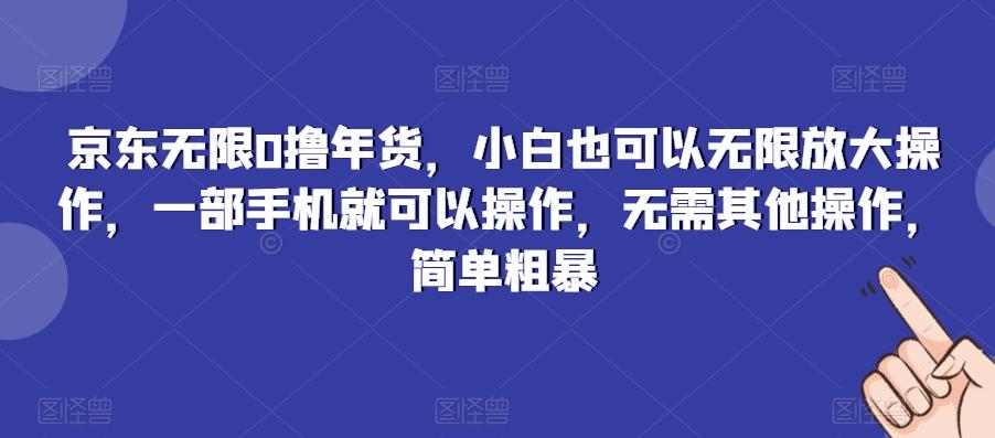 京东无限0撸年货，小白也可以无限放大操作，一部手机就可以操作，无需其他操作，简单粗暴-网创星球