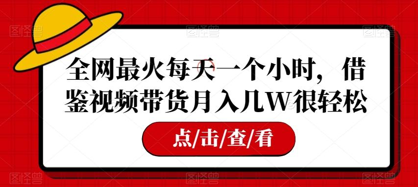 全网最火每天一个小时，借鉴视频带货月入几W很轻松【揭秘】-网创星球