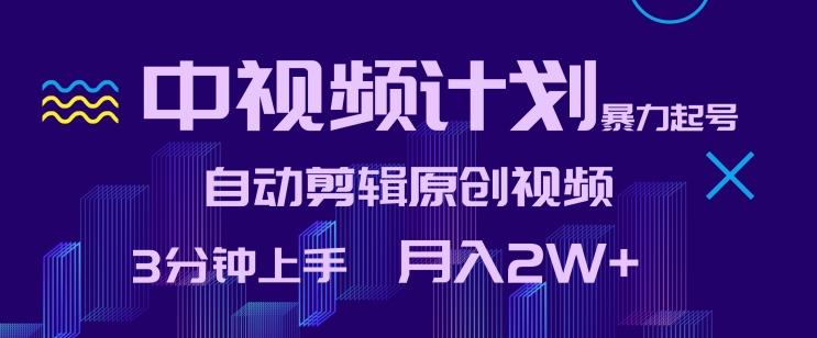 中视频计划暴力起号，自动剪辑原创视频，3分钟上手，月入2W+【揭秘】-网创星球