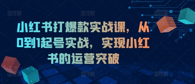 小红书打爆款实战课，从0到1起号实战，实现小红书的运营突破-网创星球