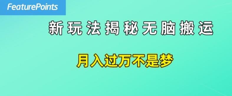 简单操作，每天50美元收入，搬运就是赚钱的秘诀【揭秘】-网创星球