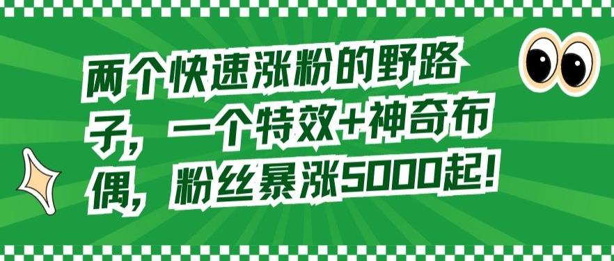 两个快速涨粉的野路子，一个特效+神奇布偶，粉丝暴涨5000起【揭秘】-网创星球