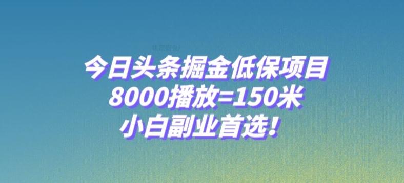 今日头条掘金低保项目，8000播放=150米，小白副业首选【揭秘】-网创星球