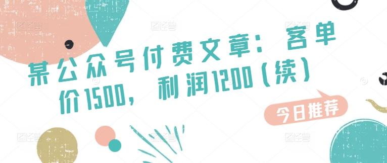 某公众号付费文章：客单价1500，利润1200(续)，市场几乎可以说是空白的-网创星球