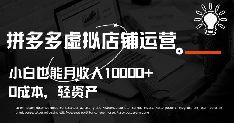 拼多多虚拟店铺运营小白也能月收入10000+【揭秘】-网创星球