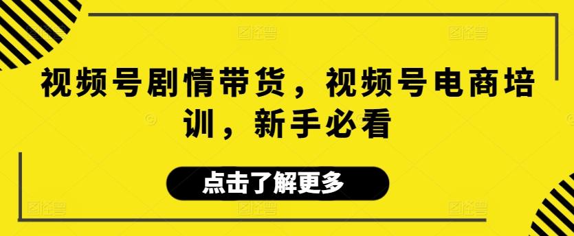 视频号剧情带货，视频号电商培训，新手必看-网创星球