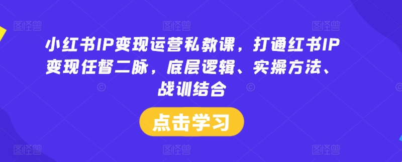 小红书IP变现运营私教课，打通红书IP变现任督二脉，底层逻辑、实操方法、战训结合-网创星球