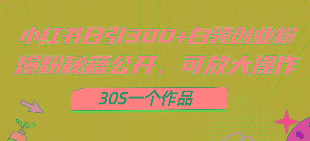小红书日引300+高质白领创业粉，可放大操作，爆粉秘籍！30s一个作品-网创星球