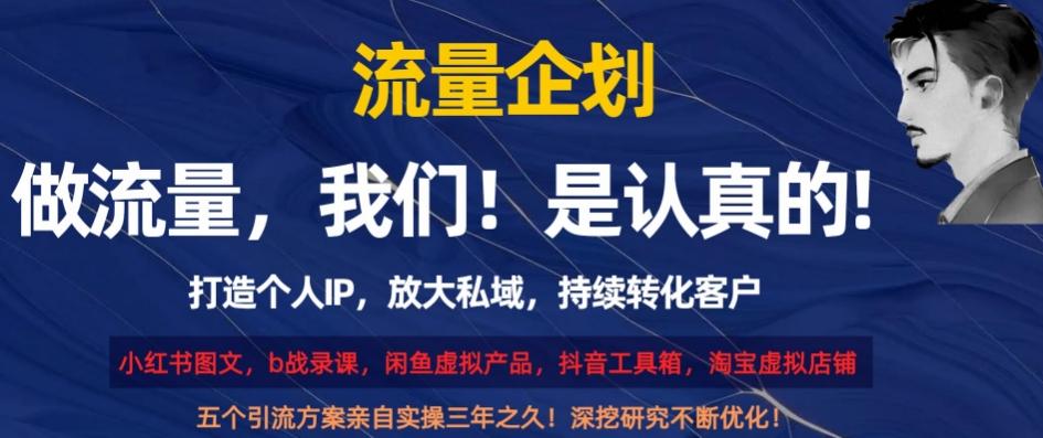流量企划，打造个人IP，放大私域，持续转化客户【揭秘】-网创星球
