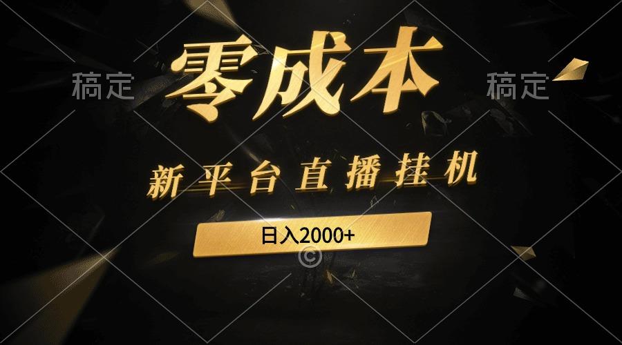 (9841期)新平台直播挂机最新玩法，0成本，不违规，日入2000+-网创星球